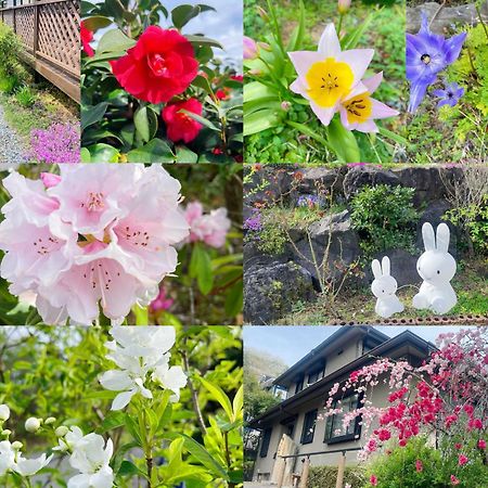 貸別荘花摘里　伊豆高原 Futo Exterior foto